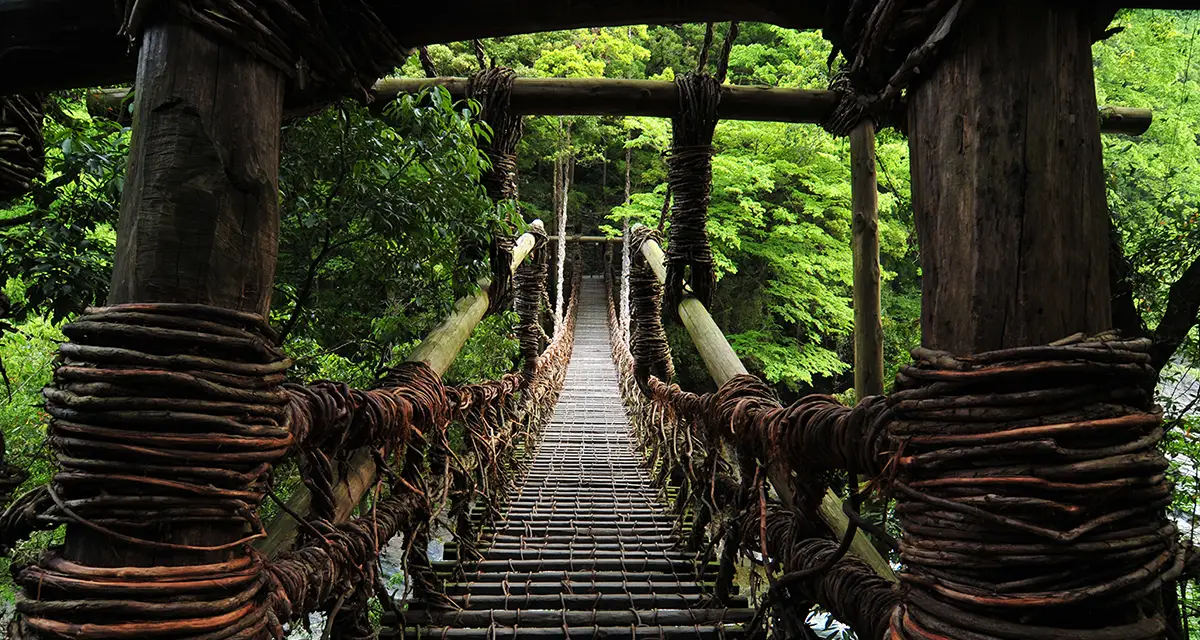 祖谷のかずら橋 イメージ