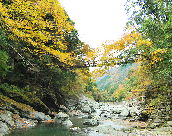 祖谷藤蔓橋