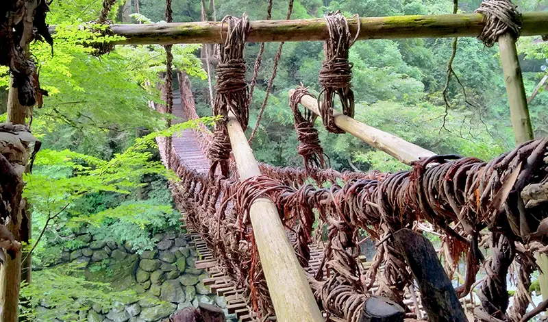 祖谷のかずら橋 イメージ