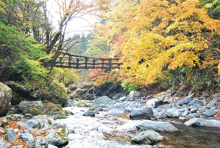 奥祖谷二重かずら橋 イメージ